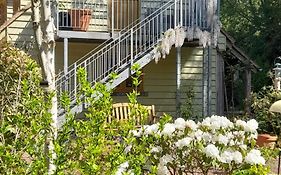 Pinecroft Barn - Relax & Unwind!
